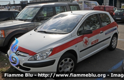 Peugeot 307
Croce Rossa Italiana
 Comitato Provinciale Bolzano
 Rotes Kreuz Bozen
 CRI 528AA
Parole chiave: Trentino_alto_adige (BZ) Servizi_sociali Peugeot 307 Reas_2015 CRI528AA