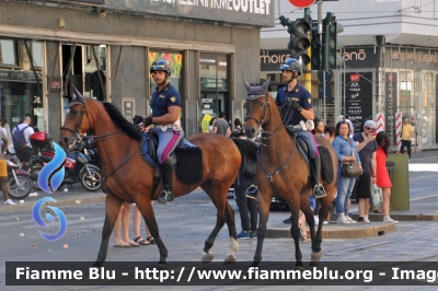 Reparto a Cavallo
Polizia di Stato
Agenti ippomontati in servizio operativo
