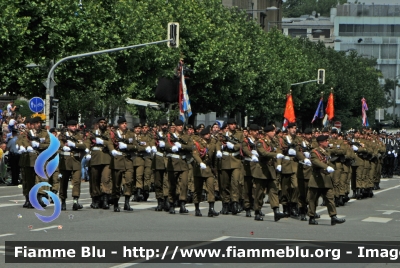 Divisa
Grand-Duché de Luxembourg - Großherzogtum Luxemburg - Grousherzogdem Lëtzebuerg - Lussemburgo
Esercito del Lussemburgo - Lëtzebuerger Arméi 
