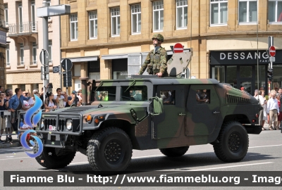 HMMWV Hummer H1
Grand-Duché de Luxembourg - Großherzogtum Luxemburg - Grousherzogdem Lëtzebuerg - Lussemburgo
Esercito del Lussemburgo - Lëtzebuerger Arméi 
