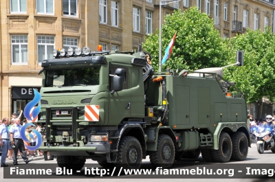 Scania G480 8x8 
Grand-Duché de Luxembourg - Großherzogtum Luxemburg - Grousherzogdem Lëtzebuerg - Lussemburgo
Esercito del Lussemburgo - Lëtzebuerger Arméi 
MLST dépanneuse blindée
Carro Soccorso Pesante Blindato
