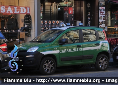 Fiat Nuova Panda 4x4 II serie 
Carabinieri
Comando Carabinieri Unità per la tutela Forestale, Ambientale e Agroalimentare
CC DP552
Parole chiave: Fiat Nuova Panda_4x4_IIserie CCDP552