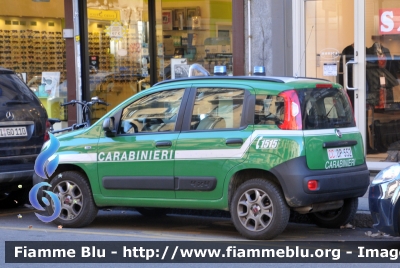 Fiat Nuova Panda 4x4 II serie 
Carabinieri
Comando Carabinieri Unità per la tutela Forestale, Ambientale e Agroalimentare
CC DP552
Parole chiave: Fiat Nuova Panda_4x4_IIserie CCDP552