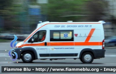 Fiat Ducato X250
Orchidea Nata per Te Milano
 M 14
Parole chiave: Lombardia (MI) Ambulanza Fiat ducato_X250