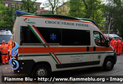 Fiat Ducato X250
Croce Verde Pavese
 Allestita Aricar
Fraternità della Strada 2015
Parole chiave: Lombardia (PV) Ambulanza Fiat ducato_X250