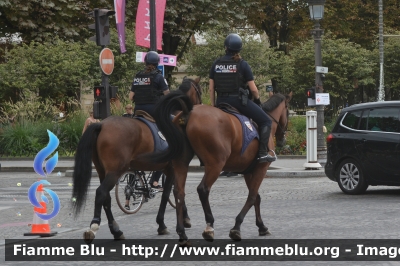 Unità a cavallo
France - Francia
Police Nationale
