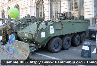 MOWAG Piranha III 8x8
Koninkrijk België - Royaume de Belgique - Königreich Belgien - Belgio
La Defence - Defecie - Armata Belga
