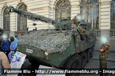 MOWAG Piranha IIIC
Koninkrijk België - Royaume de Belgique - Königreich Belgien - Belgio
La Defence - Defecie - Armata Belga
