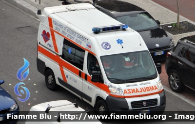 Fiat Ducato X250
Croce Maria Bambina Milano
M 73
Parole chiave: Lombardia (MI) Ambulanza Fiat Ducato_X250