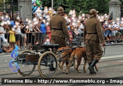 Mitragliatrice cinotrainata
Koninkrijk België - Royaume de Belgique - Königreich Belgien - Belgio
La Defence - Defecie - Armata Belga WW I
