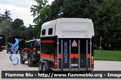 Carrello Trailer Thiel Matrix 
Carabinieri
 4° Reggimento a Cavallo 
 Ambulanza Veterinaria
 Allestimento Thiel
 Rimorchio CC BY741
