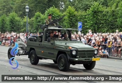 Mercedes-Benz Classe G
Nederland - Paesi Bassi
Nederlandse Krijgsmacht - Esercito Olandese
