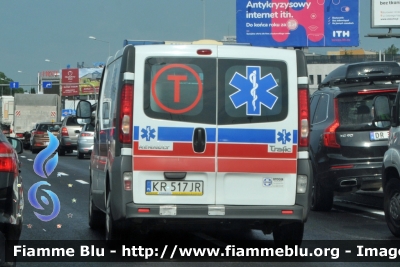 Renault Trafic III serie
Rzeczpospolita Polska - Polonia
Krakowskie Pogotowie Ratunkowe (Cracovia EMS)
Parole chiave: Ambulanza Ambulance