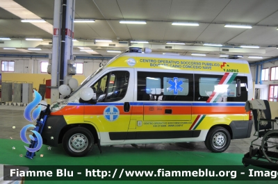 Fiat Ducato X250
Cento Operativo Soccorso Pubblico Bovezzo Caino Concesio Nave BS
Parole chiave: Lombardia (BS) Fiat Ducato_X250 Ambulanza Reas_2010