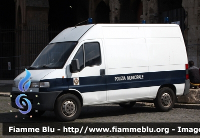 Fiat Ducato II serie 
Polizia Municipale Roma
Parole chiave: Lazio (RM) Polizia_locale Fiat Ducato II serie