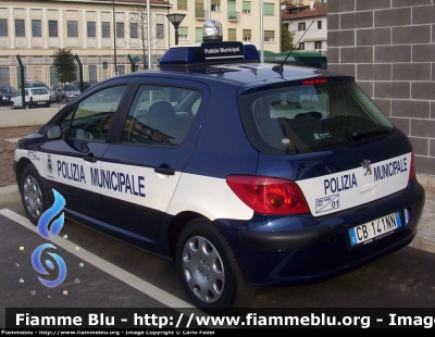 Peugeot 307 I Serie
Polizia Locale 
Annone Veneto (VE)
"Livrea Polizia Municipale"
Parole chiave: Peugeot 307_Iserie PL Annone_Veneto VE Veneto