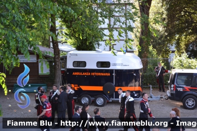 carrello trailer Thiel Matrix
Carabinieri
4° Reggimento a Cavallo 
Ambulanza Veterinaria
Allestimento Thiel
Rimorchio CC BY741
Parole chiave: Ambulanza_Veterinaria Carabinieri RimorchioCCBY741