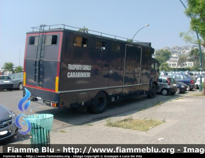 Iveco 175-24
Carabinieri
Trasporto Cavalli 
Parole chiave: Iveco_175_24 CC