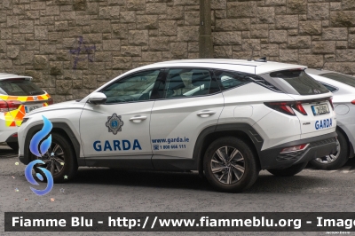 Hyunday i35
Éire - Ireland - Irlanda
An Garda Sìochàna
Parole chiave: Hyunday i35