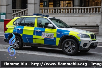 BMW X5 II serie restyle
Great Britain - Gran Bretagna
City of London Police
Parole chiave: BMW X5