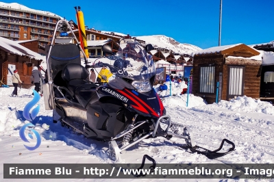 Yamaha Venture Multi Purpose
Carabinieri
Soccorso Alpino
Parole chiave: Yamaha Venture_Multi_Purpose