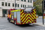 LFB_008.JPG