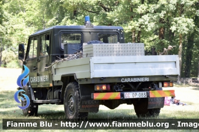 Iveco VM90
Carabinieri
Comando Carabinieri Unità per la tutela Forestale, Ambientale e Agroalimentare
CC DP 083
Parole chiave: Iveco VM90 CCDP083