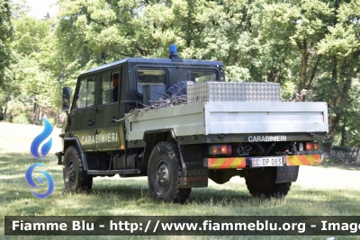 Iveco VM90
Carabinieri
Comando Carabinieri Unità per la tutela Forestale, Ambientale e Agroalimentare
CC DP 083
Parole chiave: Iveco VM90 CCDP083