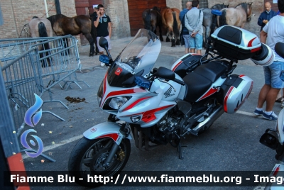 Yamaha TDM
Polizia Municipale Siena
Parole chiave: Yamaha TDM