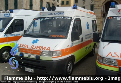 Fiat Ducato II serie
10 - Società Volontaria di Soccorso Livorno
Sede Capraia Isola
Allestita Alessi & Becagli
Parole chiave: Fiat Ducato_IIserie 118_Livorno Ambulanza SVS_Livorno