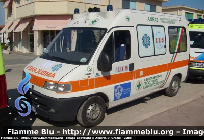 Fiat Ducato II serie
Pubblica Assistenza Croce Verde Lamporecchio
Allestita MAF
Parole chiave: Fiat Ducato_IIserie 118_Pistoia Ambulanza Pubblica_Assistenza_Croce_Verde_Lamporecchio