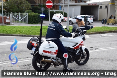 Yamaha TDM 900
Polizia Municipale Viareggio
 Sez. Motociclisti
 M06 
 POLIZIA LOCALE YA 00823
Parole chiave: Yamaha / TDM_900 / POLIZIA_LOCALE00823