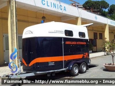 carrello trailer Thiel Matrix
Carabinieri
4° Reggimento a Cavallo 
Ambulanza Veterinaria
Allestimento Thiel
Rimorchio CC BY741
Parole chiave: Ambulanza_Veterinaria Carabinieri RimorchioCCBY741