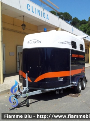 carrello trailer Thiel Matrix
Carabinieri
4° Reggimento a Cavallo 
Ambulanza Veterinaria
Allestimento Thiel
Rimorchio CC BY741
Parole chiave: Ambulanza_Veterinaria Carabinieri RimorchioCCBY741