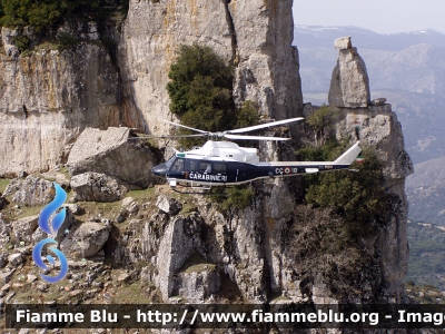 Agusta-Bell AB412
Carabinieri
Fiamma 28
