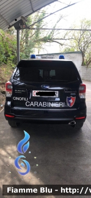 Subaru Forester VI serie
Carabinieri 
Nucleo Cinofili
CC DX 772
Parole chiave: CCDX772