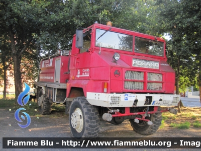 Pegaso Hallon
España - Spagna
Servizio de Proteccion Civil de Arzua
Parole chiave: Pegaso Hallon