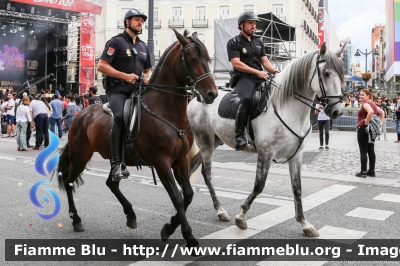 Reparto a cavallo
España - Spagna
Cuerpo Nacional de Policìa
