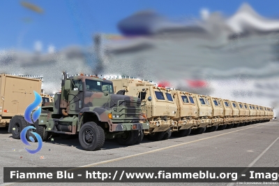 Freightliner M916A2
United States of America - Stati Uniti d'America
US Army
Parole chiave: Freightliner M916A2