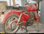 Guzzi_Lodola_0002_copia.jpg