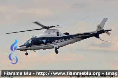 Agusta A109 Power VIP
Carabinieri
Raggruppamento Aeromobili
Fiamma CC 98
Parole chiave: Agusta A109_Power_VIP CC98