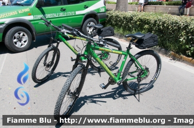 Mountain bike
Corpo Forestale dello Stato
Servizio Velomontato
Parole chiave: Mountain bike