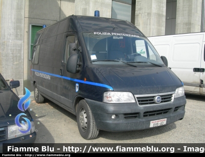 Fiat Ducato Maxi III Serie
Polizia Penitenziaria
Automezzo Protetto per il Trasporto di Detenuti
POLIZIA PENITENZIARIA 898 AD
Parole chiave: Fiat Ducato_IIIserie PoliziaPenitenziaria898AD