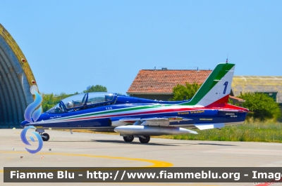 Aermacchi MB339PAN
Aeronautica Militare Italiana
 313° Gruppo Addestramento Acrobatico
 Stagione esibizioni 2017
 Pony 1
Parole chiave: Aermacchi MB339PAN Pony1