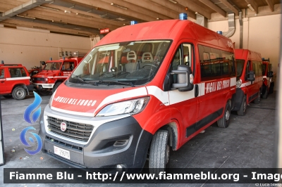 Fiat Ducato X290
Vigili del Fuoco
Comando Provinciale di Ravenna
VF 29670
Parole chiave: Fiat Ducato_X290 VF29670