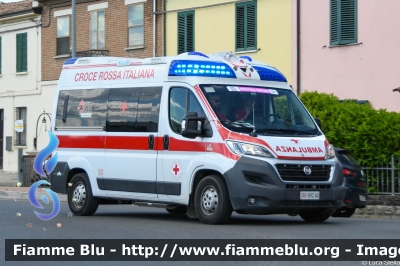 Fiat Ducato X290
Croce Rossa Italiana
Comitato Locale di Cesenatico (FC)
Allestimento Ambitalia
Assistenza Sanitaria 301
Giro di Romagna 2024
CRI 892 AD
Parole chiave: Fiat Ducato_X290 CRI892 Ambulanza