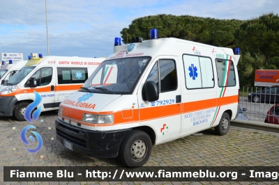 Fiat Ducato II serie
Pubblica Assistenza Rosignano (LI)
Allestita MAF
Parole chiave: Fiat Ducato_IIserie Ambulanza