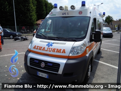 Fiat Ducato X250
Assistenza Pubblica Estense
Ambulanza allestita Vision
APE 5
Parole chiave: Fiat Ducato_X250 Ambulanza