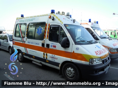 Fiat Ducato III serie
Pubblica Assistenza Rho Soccorso
Allestita Bonfanti
Parole chiave: Fiat Ducato_IIIserie Ambulanza Reas_2012