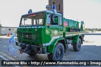 Iveco OM 75P
Vigili del Fuoco
Comando Provinciale di Ferrara
Allestimento Baribbi
Ex Corpo Forestale dello Stato
VF 28160
Parole chiave: Iveco OM 75P VF28160